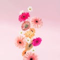 Creatively arranged various spring flowers that fall against pink background