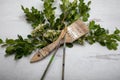 Creatively placed dry used paintbrushes placed lay flat design organic green branches framed on wooden background