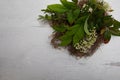 Creatively placed lay flat design organic green nest branches framed on wooden background