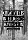 Creativity is intelligence having fun quote by albert einstein over forest