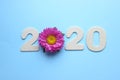 2020. Creativity, of a New concept for the year 2020. Wooden figures and flowers on a colored background.