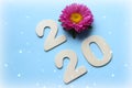 2020. Creativity, of a New concept for the year 2020. Wooden figures and flowers on a colored background.