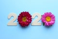 2020. Creativity, of a New concept for the year 2020. Wooden figures and flowers on a colored background.