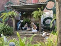A Creche life-size nativity manger is displayed at the side of the churchyard during Christmas time