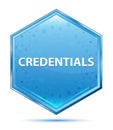 Credentials crystal blue hexagon button Royalty Free Stock Photo