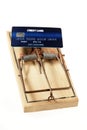 Credit Card as Bait on Mousetrap