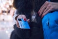 Credit card with biometric system in young woman's hands. Half-body shot of lady with red manicure offering to pay by card in Royalty Free Stock Photo