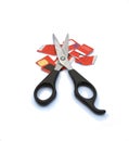 Credit card cut up with big scissors. Royalty Free Stock Photo