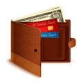 Credit Card and Dollar Note in Wallet