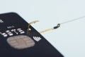 Credit card on fishing hook fraud data leak money stealing phishing
