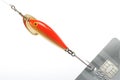 Credit card on fishing hook Royalty Free Stock Photo