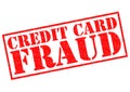 CREDIT CARD FRAUD Royalty Free Stock Photo