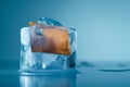 Credit card frozen in ice cube. Frozen bank account. Frozen funds and assets, unavailable money. The concept of bankruptcy and Royalty Free Stock Photo