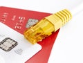 Credit card and a network cable . Royalty Free Stock Photo