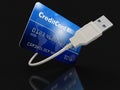 Credit Card and USB Cable (clipping path included) Royalty Free Stock Photo