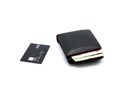 Credit card and wallet Royalty Free Stock Photo