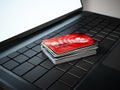 Credit cards standing on laptop computer keyboard. 3D illustration Royalty Free Stock Photo