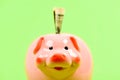 Credit concept. Money saving. Money budget planning. Financial wellbeing. Economics and finance. Piggy bank pink pig