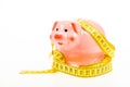 Credit loan debt. Measure costs. Piggy bank and measuring tape. Budget limit concept. Economics and finances. Pig trap Royalty Free Stock Photo