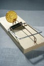 Credit money is a mouse trap Royalty Free Stock Photo