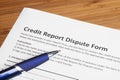 Credit report dispute score