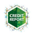 Credit Report floral plants pattern green hexagon button Royalty Free Stock Photo