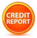 Credit Report Natural Orange Round Button Royalty Free Stock Photo