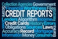 Credit Reports Word Cloud
