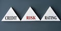 CREDIT RISK RATING - words on wooden triangles on dark background