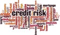 Credit risk word cloud