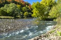 Credit River With Colorful Fall Foliage in the Background and Seagulls Resting on the Rocky Shallow Parts of the River Bed