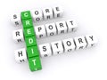 Credit score report