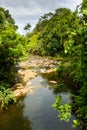 Creek in the Akaka Falls State Park Royalty Free Stock Photo