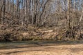 Creek alongside the woodlands in winter Royalty Free Stock Photo