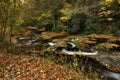 Creek In Autumn