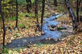 Creek in autumn forest