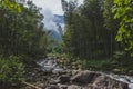 Creek between bamboo forest in Mingyue Mountain, China Royalty Free Stock Photo