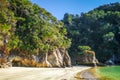 Creek at sunset in Abel Tasman National Park, New Zealand Royalty Free Stock Photo