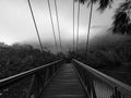 Beautiful black and white view of creek with reflections suspension bridge, sky, light clouds, fog, mountains and trees on water Royalty Free Stock Photo