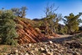 Creek bed in Bunyeroo Gorge in the Flinders Ranges, South Australia