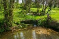 Creek at Camp Nelson National Monument in Kentucky Royalty Free Stock Photo