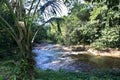creek in the center of the Belize jungle Royalty Free Stock Photo
