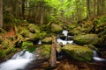 Creek Cerny potok in the National park Sumava,Czechia.