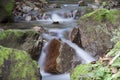 Creek Royalty Free Stock Photo