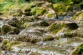 Creek closeup