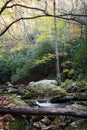 Creek with deadfall tree in the lower foreground with bare branches above