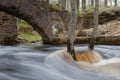 Creek Flooding due to springtime rains Royalty Free Stock Photo