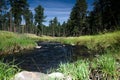 Creek flowing through Custer State Park