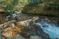 Creek flowing downstream Royalty Free Stock Photo