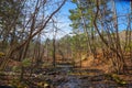 A creek flowing over rocks between the trees into a still Sobley Pond in the forest with bare winter trees and lush green trees Royalty Free Stock Photo